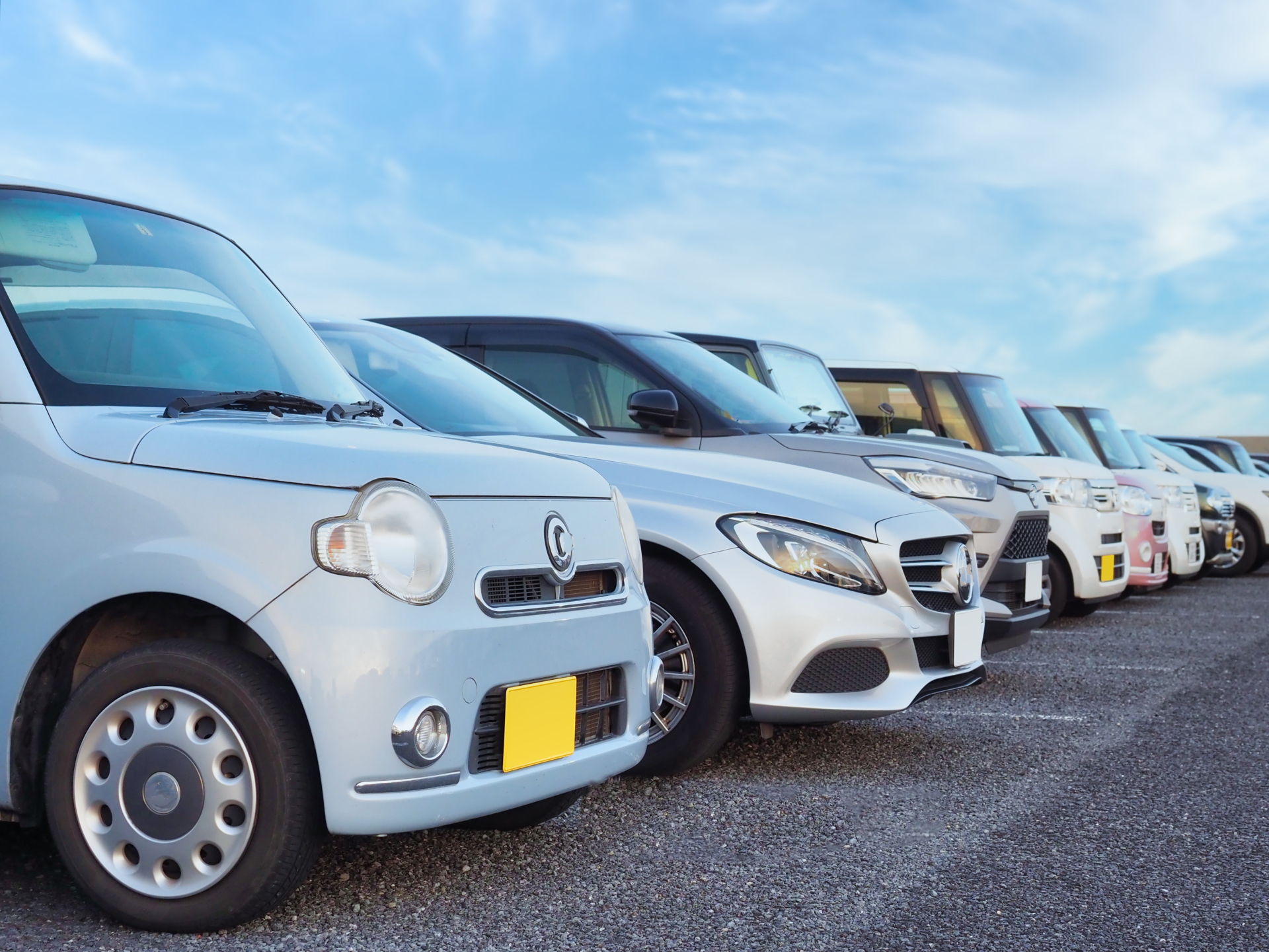 中古車が並んでいる様子